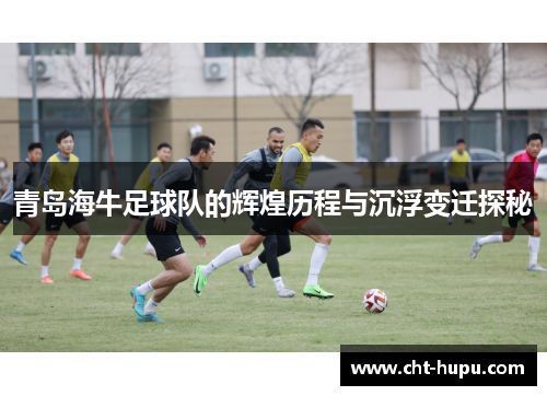 青岛海牛足球队的辉煌历程与沉浮变迁探秘